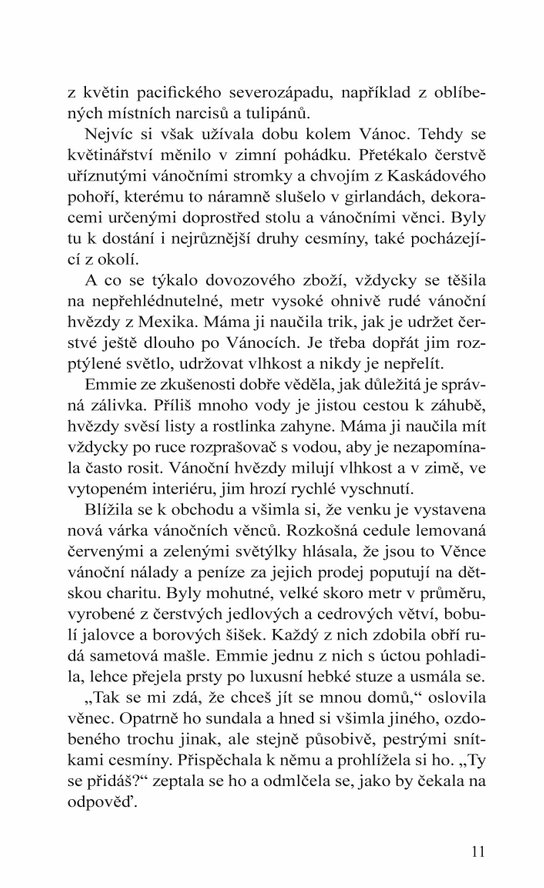 Jak si zamilovat Vánoce