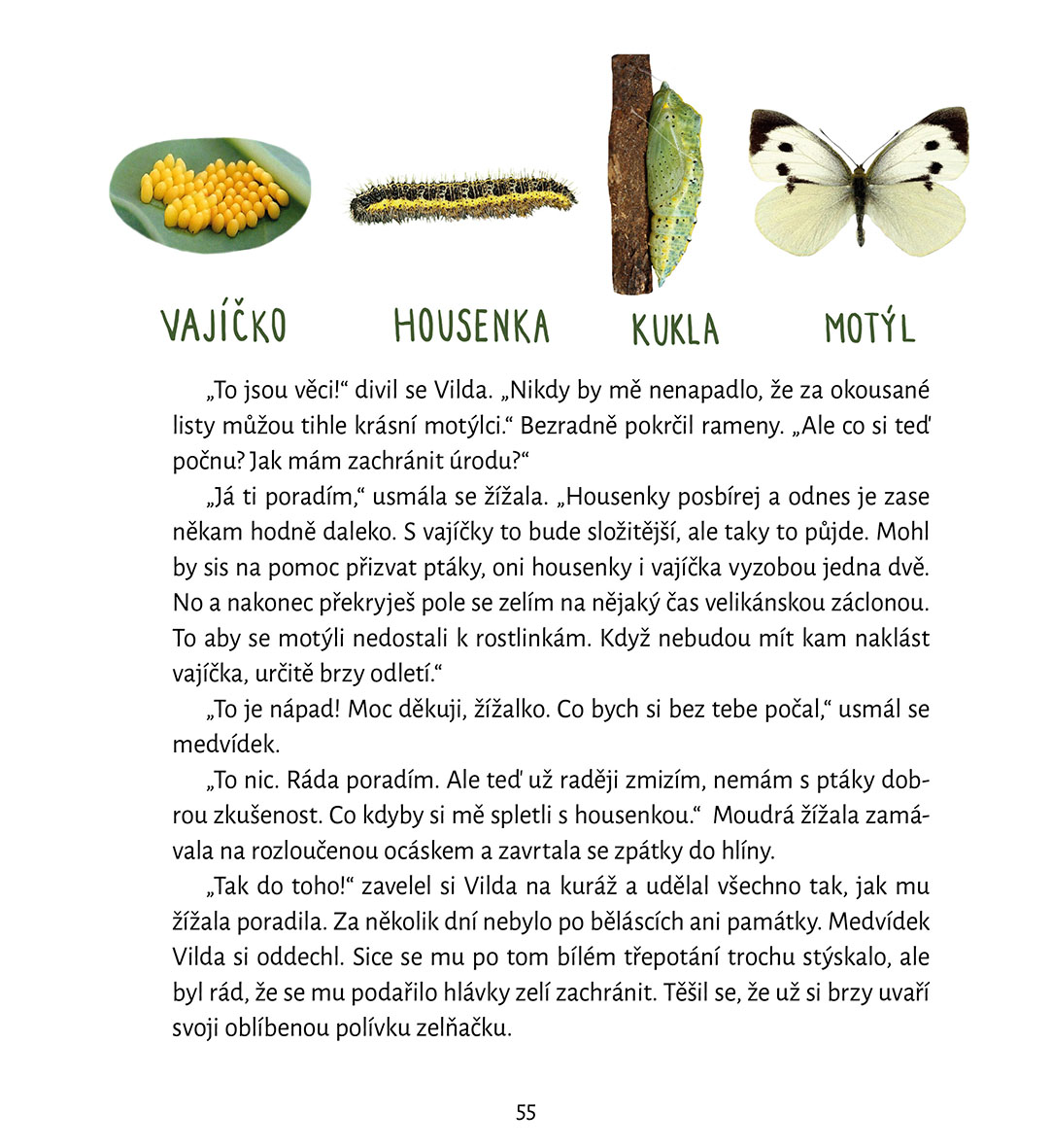 Medvídek Vilda se raduje