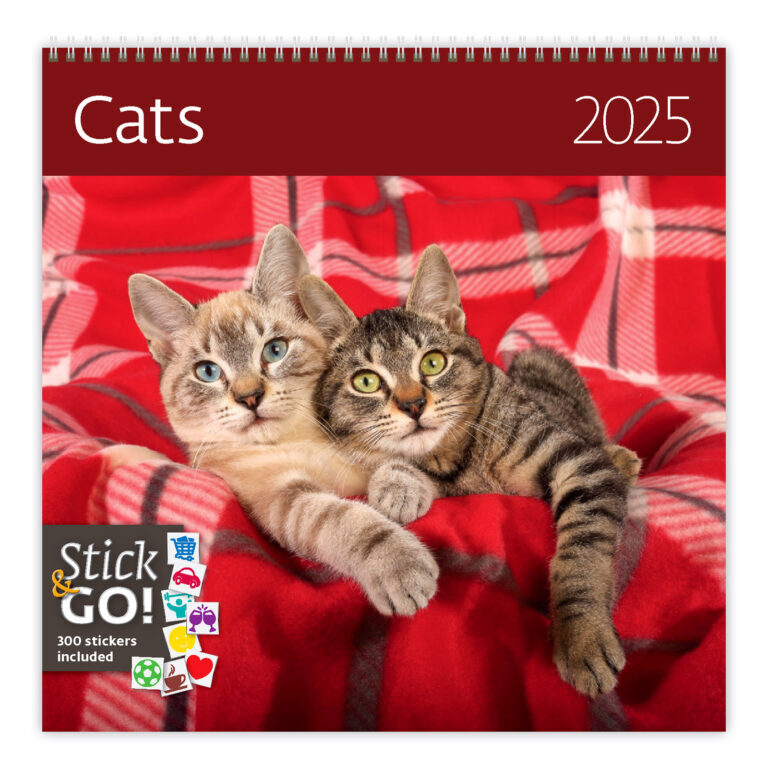 Cats 2025 - nástěnný kalendář
