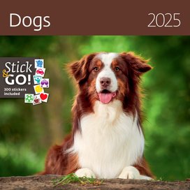 Dogs 2025 - nástěnný kalendář