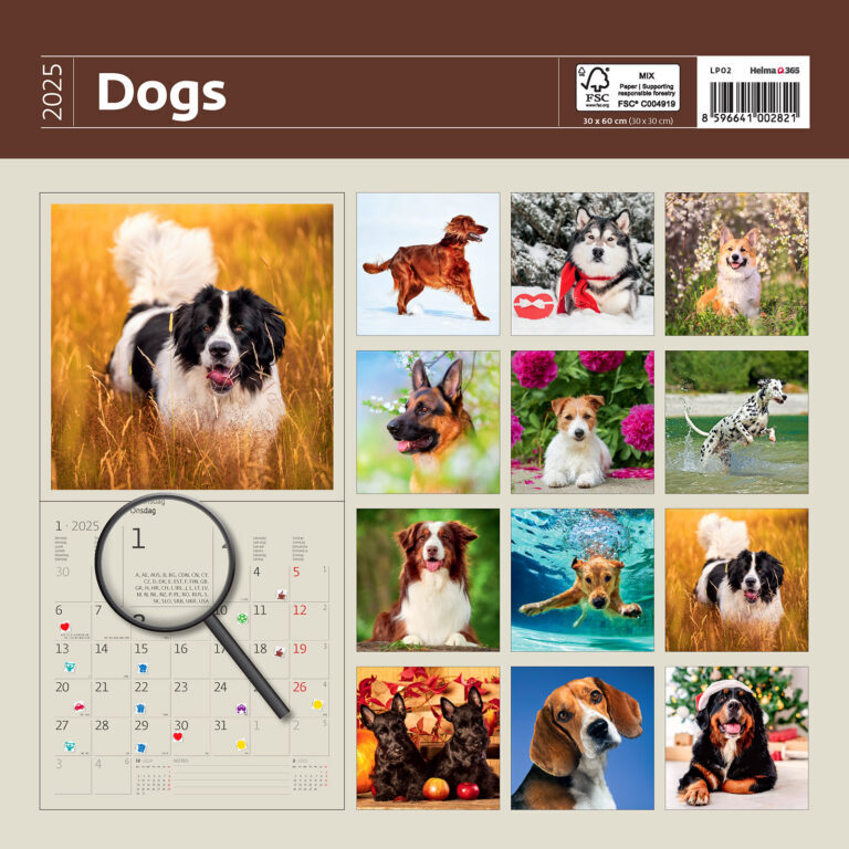 Dogs 2025 - nástěnný kalendář