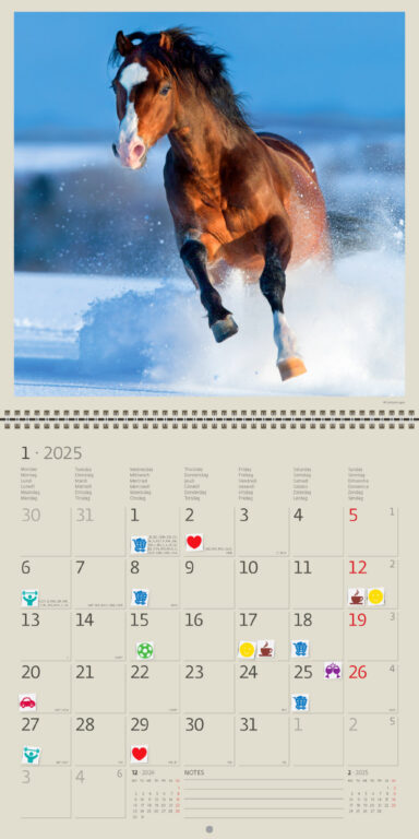 Horses 2025 - nástěnný kalendář
