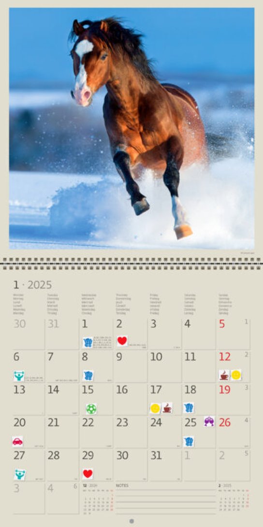 Horses 2025 - nástěnný kalendář