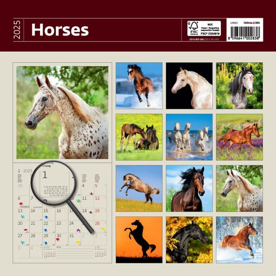 Horses 2025 - nástěnný kalendář