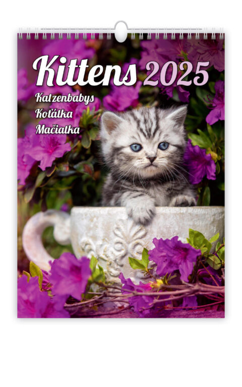 Koťátka 2025 - nástěnný kalendář