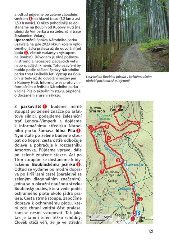 Šumava