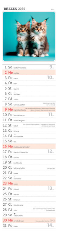 Mazlíčci 2025 - nástěnný kalendář