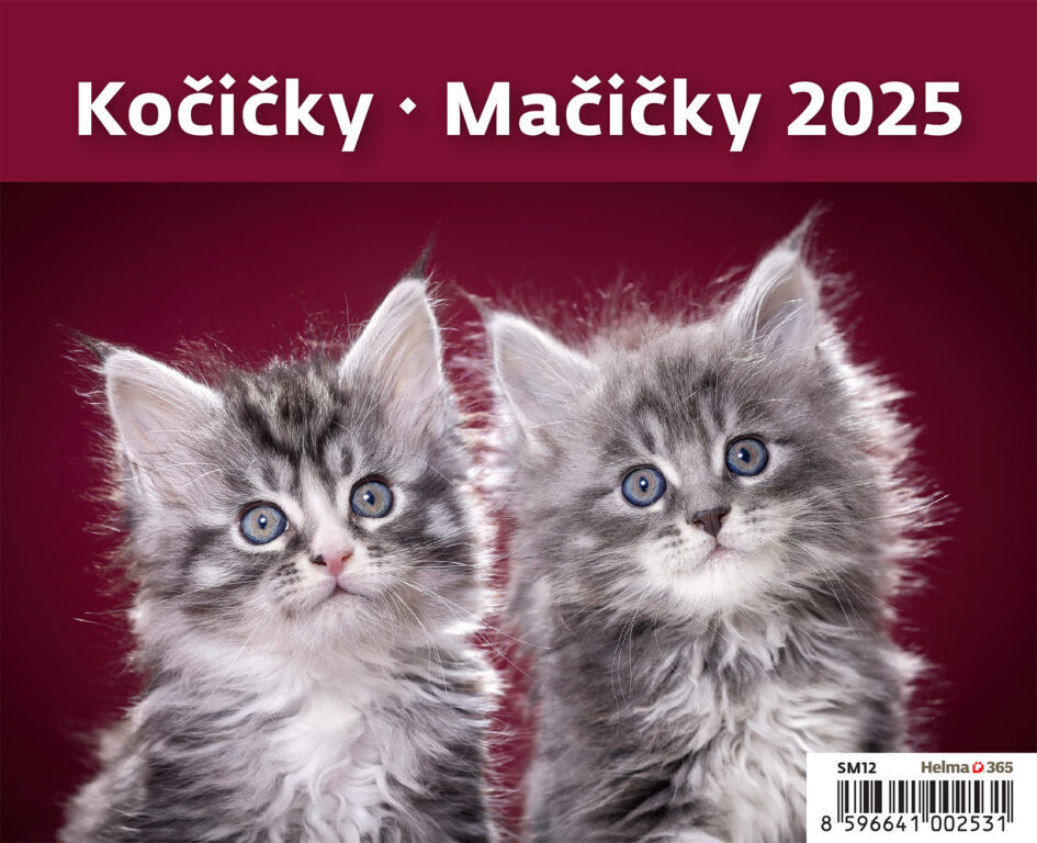 Kočičky 2025 - stolní kalendář