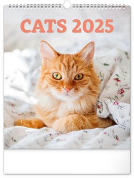 Kočky 2025 - nástěnný kalendář