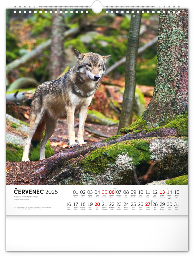 Šumava 2025 - nástěnný kalendář
