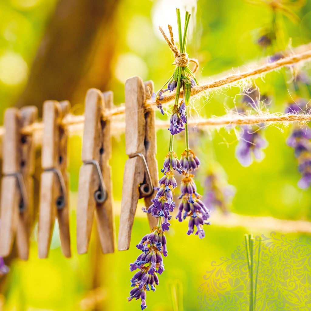 Poznámkový kalendář Provence 2025 - nástěnný kalendář