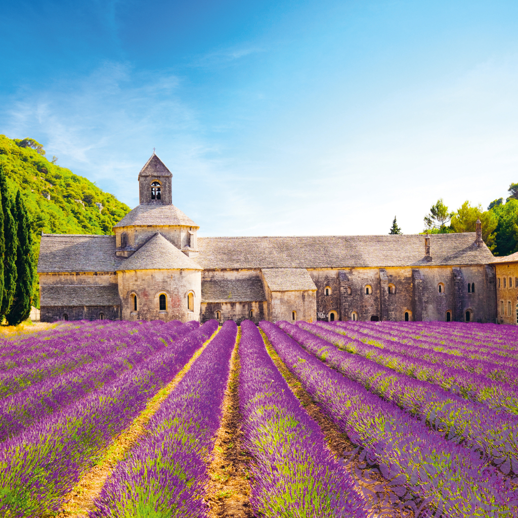 Poznámkový kalendář Provence 2025 - nástěnný kalendář