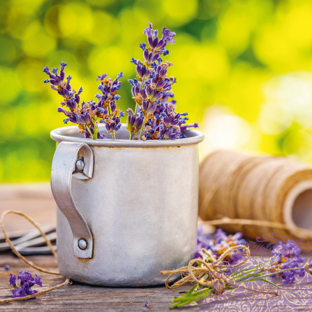 Poznámkový kalendář Provence 2025 - nástěnný kalendář