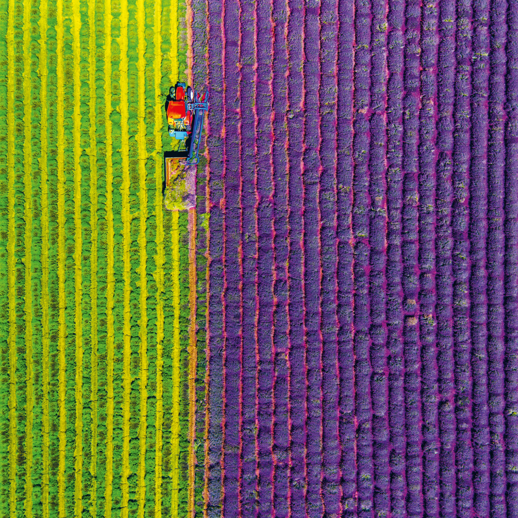 Poznámkový kalendář Provence 2025 - nástěnný kalendář