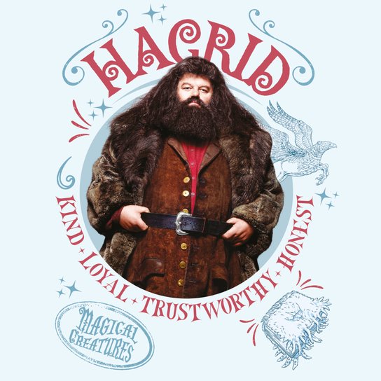 Harry Potter 2025 - nástěnný kalendář