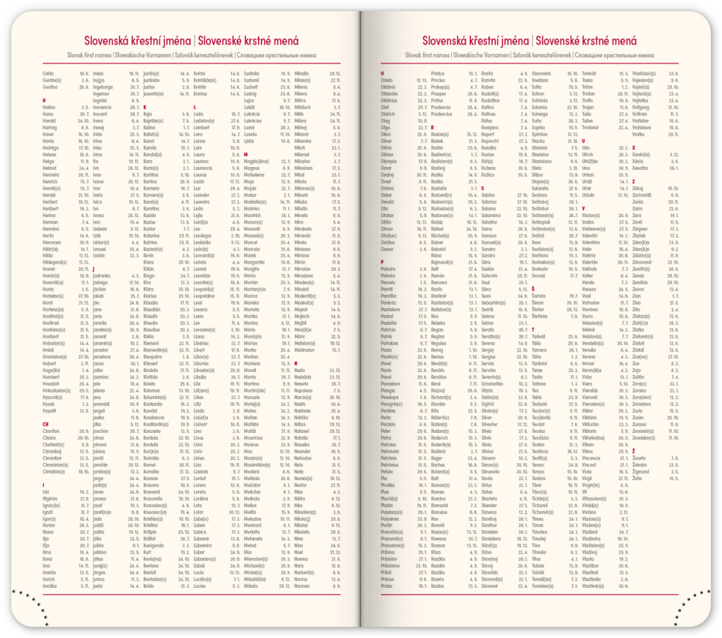 Kapesní diář 2025 Diamante černý