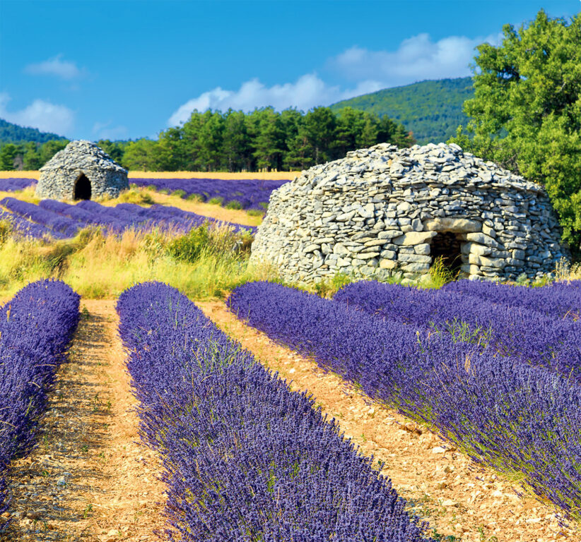 Provence vázanka 2025 - nástěnný kalendář