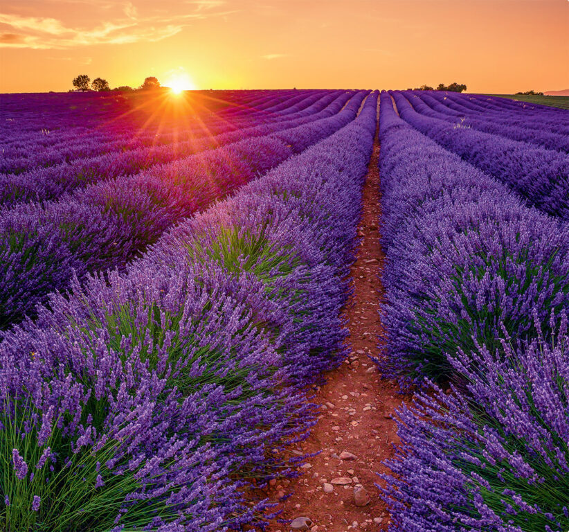Provence vázanka 2025 - nástěnný kalendář
