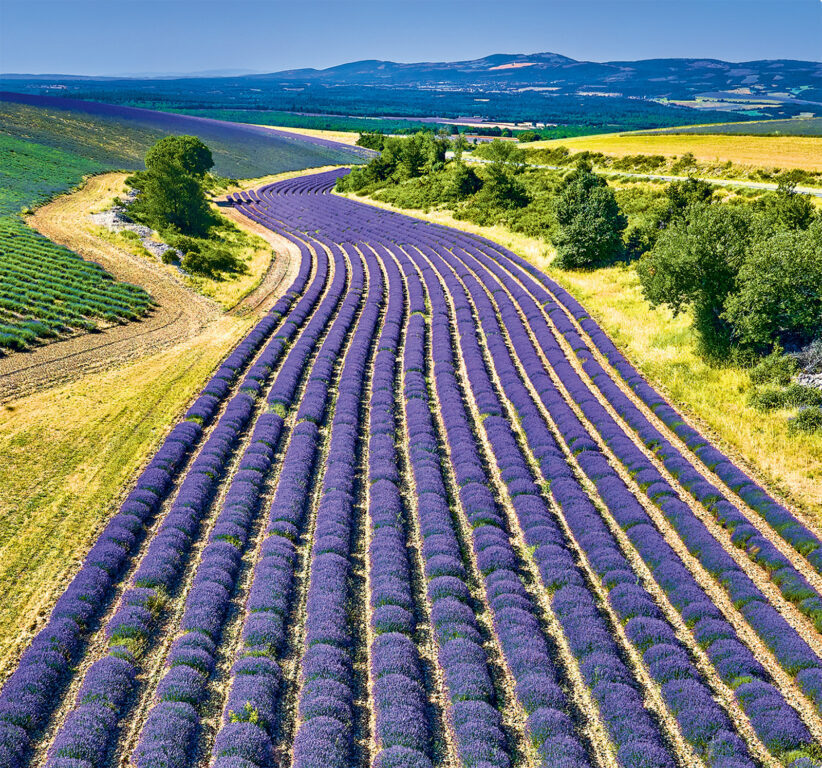 Provence vázanka 2025 - nástěnný kalendář