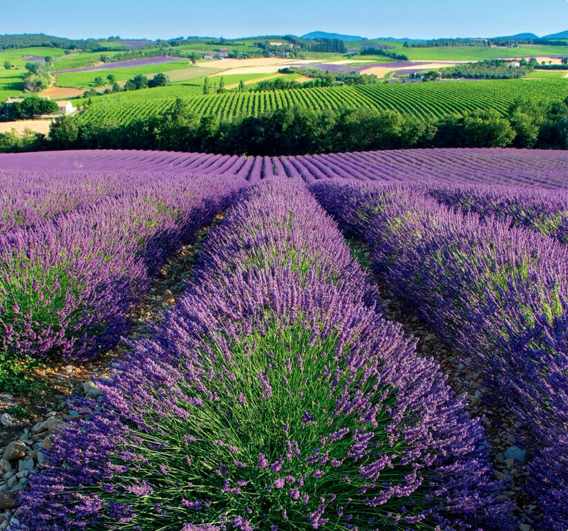 Provence vázanka 2025 - nástěnný kalendář