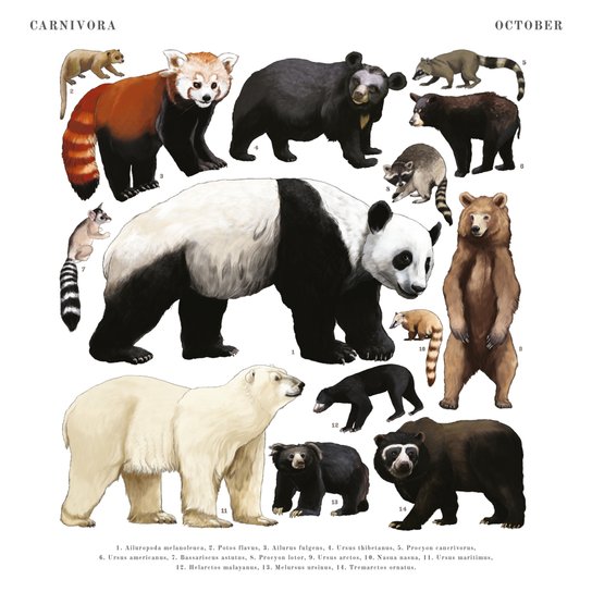 Poznámkový kalendář Animalium 2025 - nástěnný kalendář