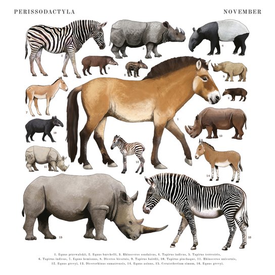 Poznámkový kalendář Animalium 2025 - nástěnný kalendář