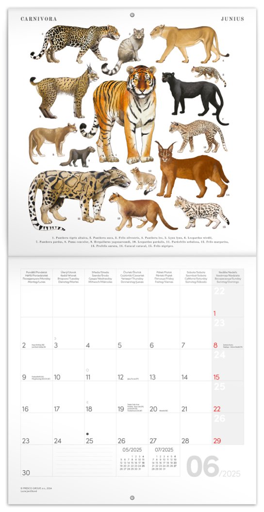 Poznámkový kalendář Animalium 2025 - nástěnný kalendář