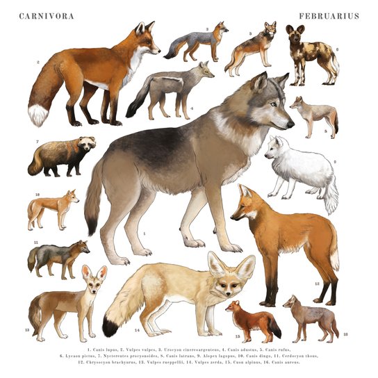 Poznámkový kalendář Animalium 2025 - nástěnný kalendář