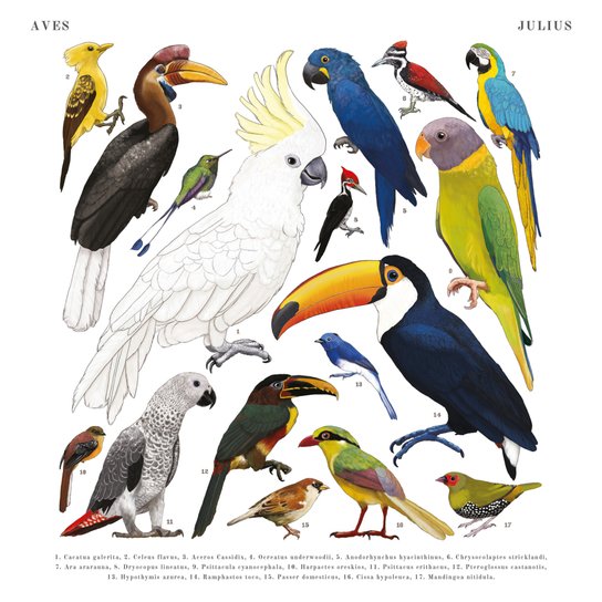 Poznámkový kalendář Animalium 2025 - nástěnný kalendář