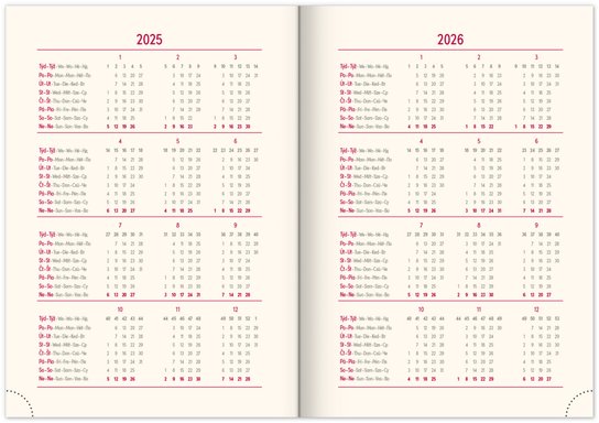 Denní diář Diario 2025 bordó