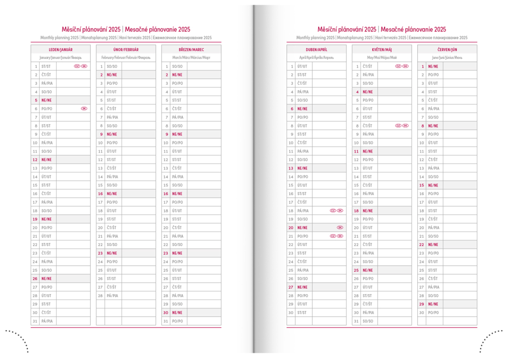 Denní diář Cambio 2025 černý