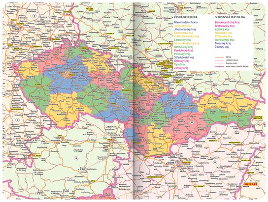 Denní diář Cambio 2025 oranžové květiny