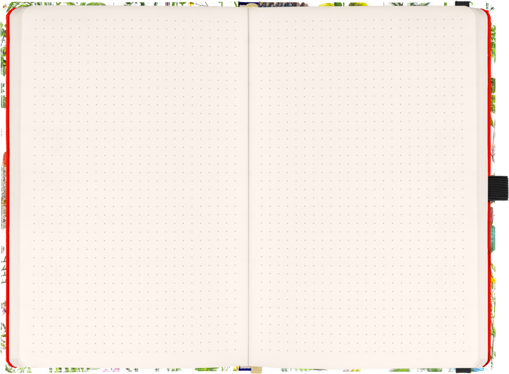 Notes Bylinky Kateřiny Winterové tečkovaný
