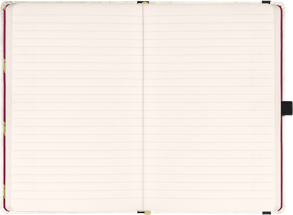 Notes Harry Potter linkovaný