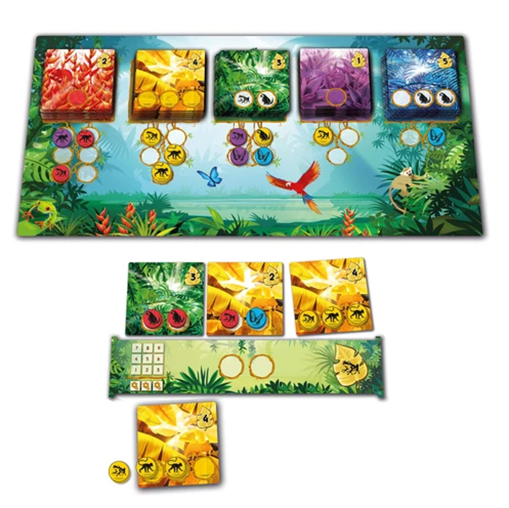 Hra Rainforest