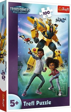 Puzzle Transformers