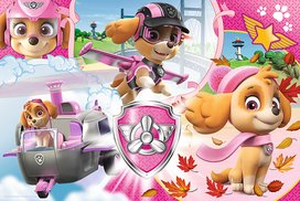 Tlapková patrola Puzzle Skye v akci