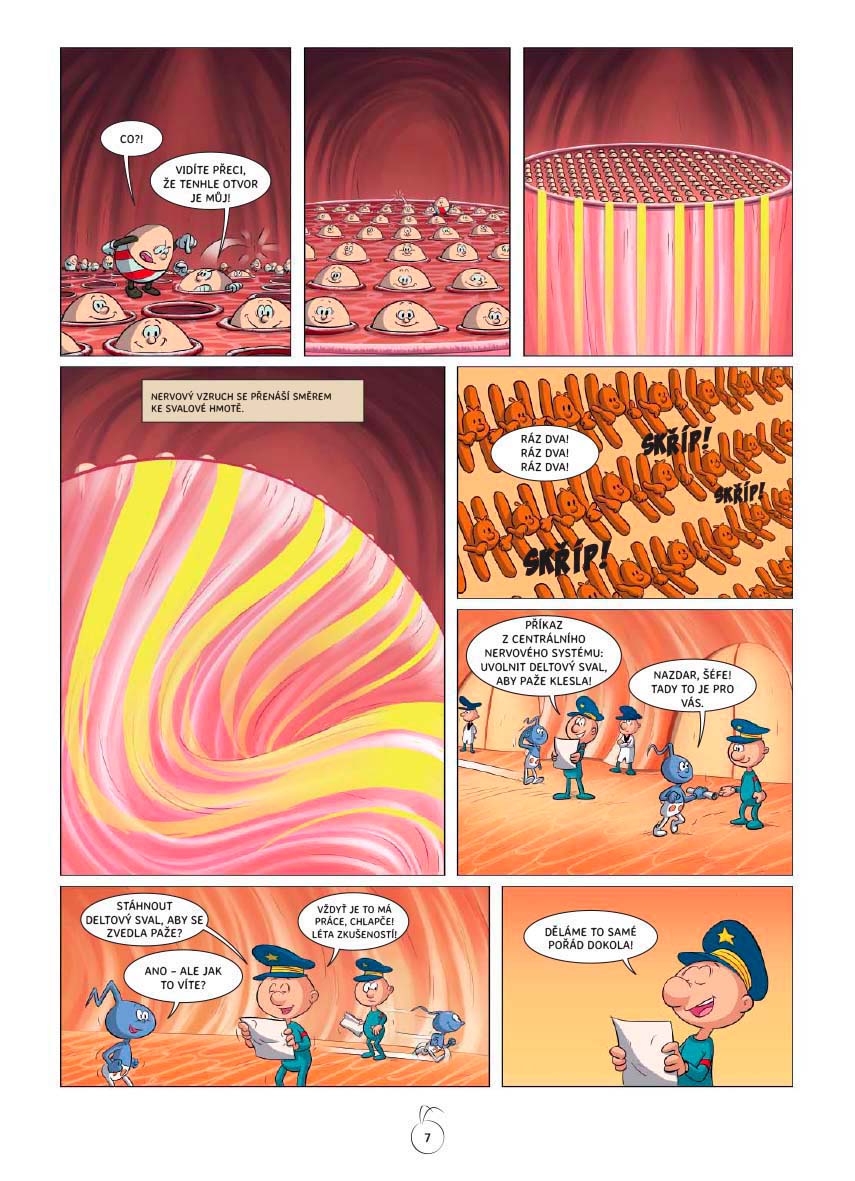 Byl jednou jeden život - svaly