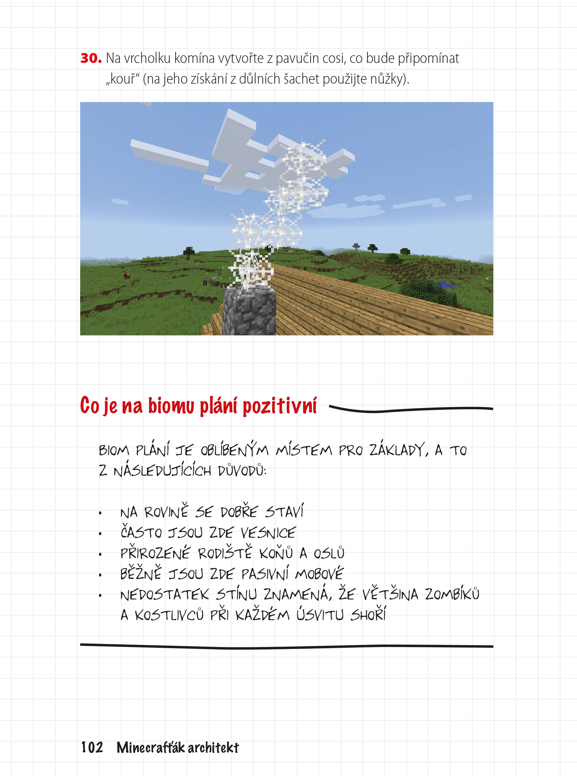 Minecrafťák architekt