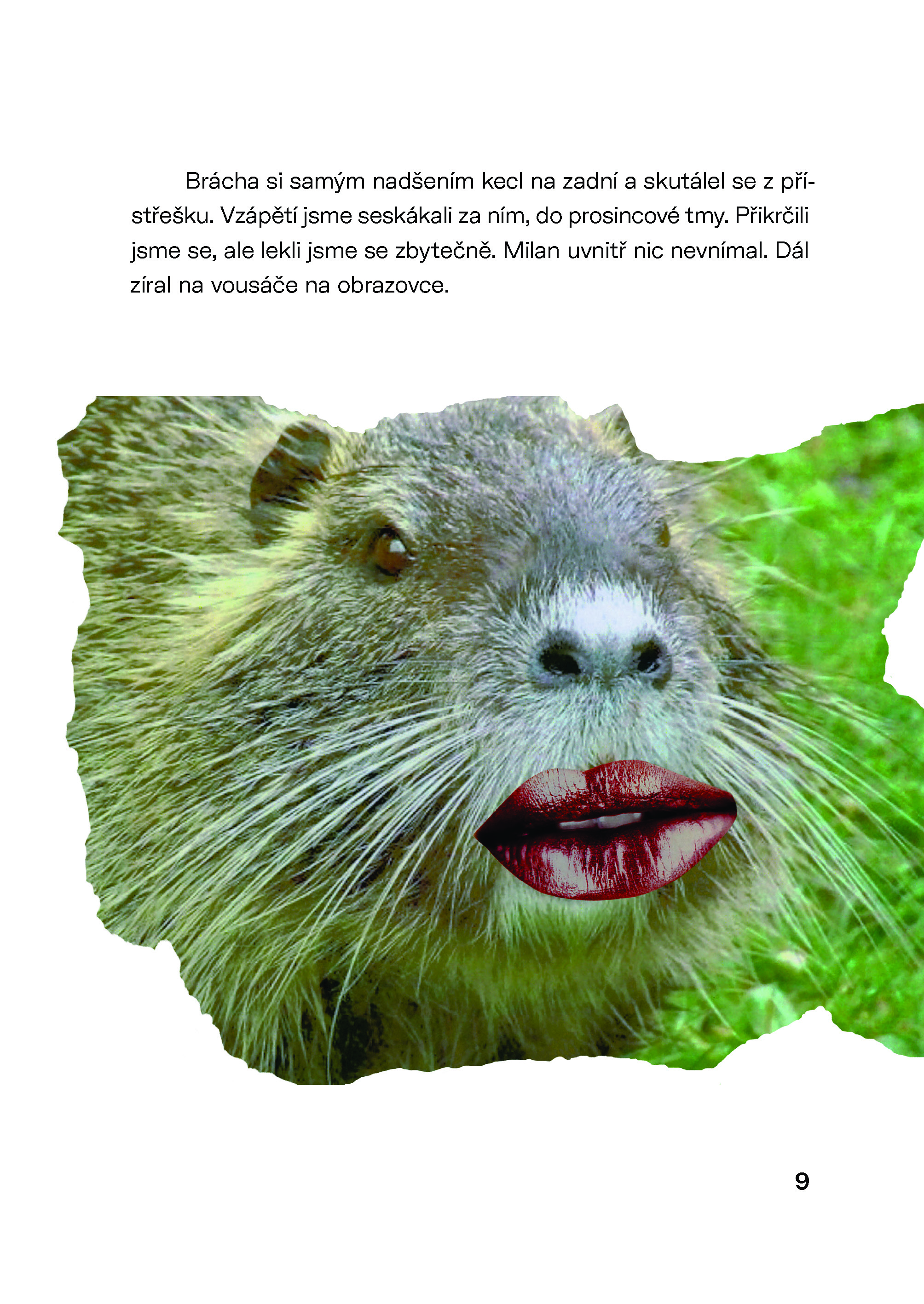Nutrie