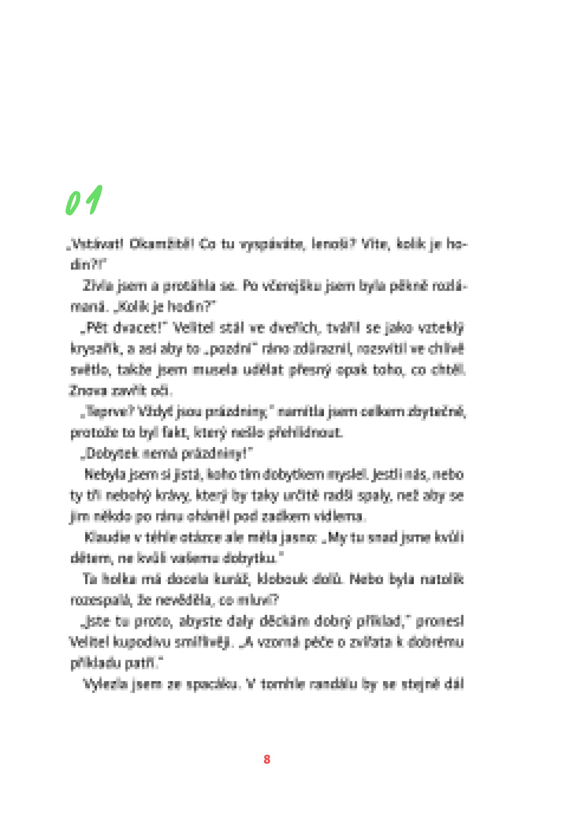 Vlajka Viktora Vaňka