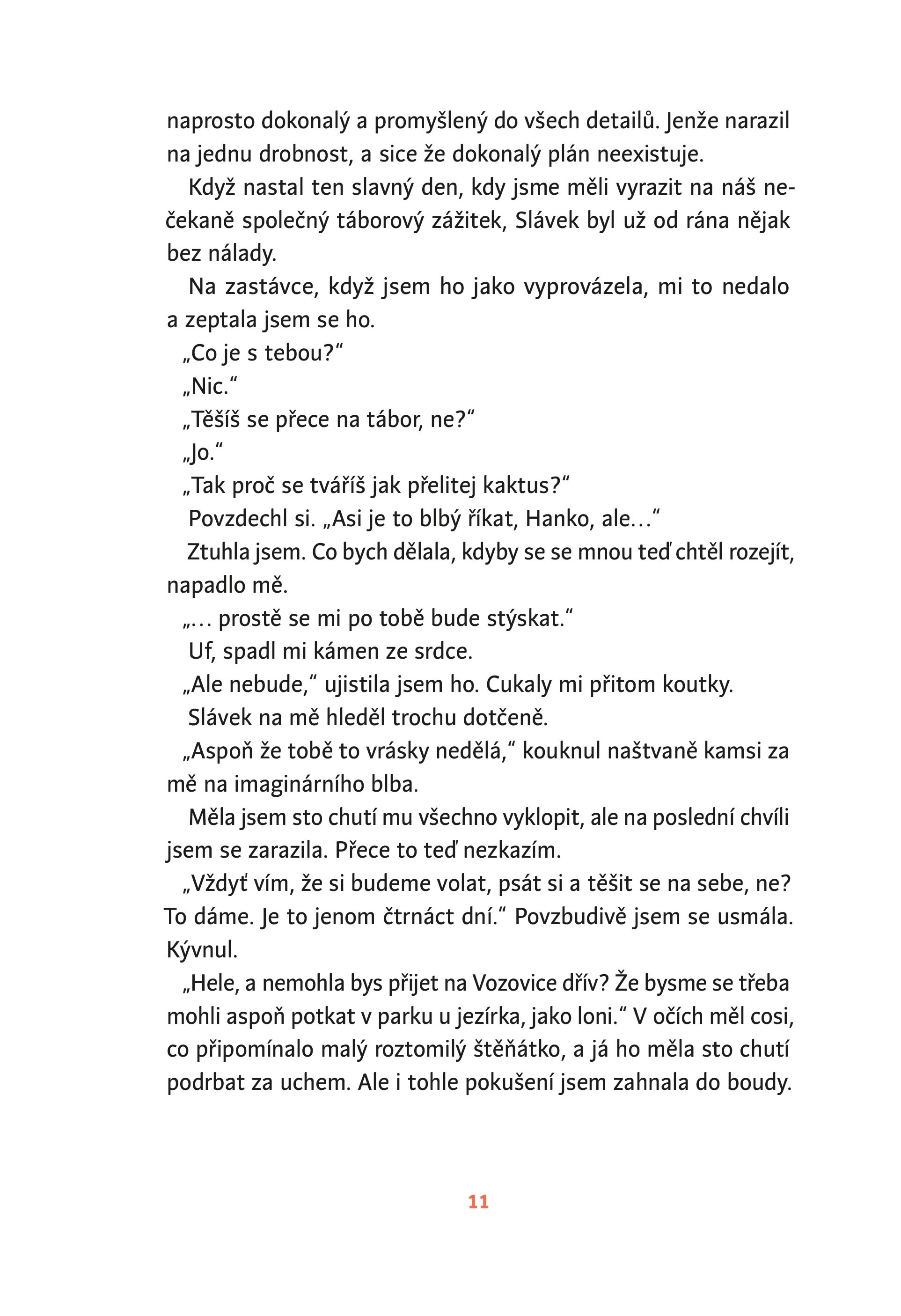 Vlajka Viktora Vaňka