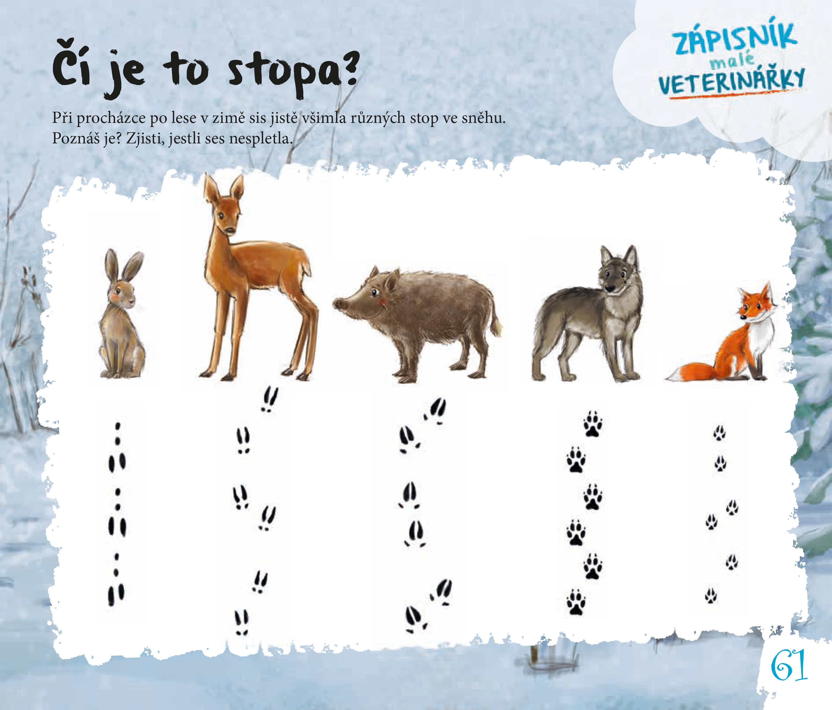Míša a její malí pacienti: Zápisník malé veterinářky