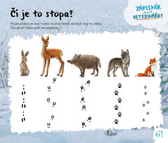 Míša a její malí pacienti: Zápisník malé veterinářky
