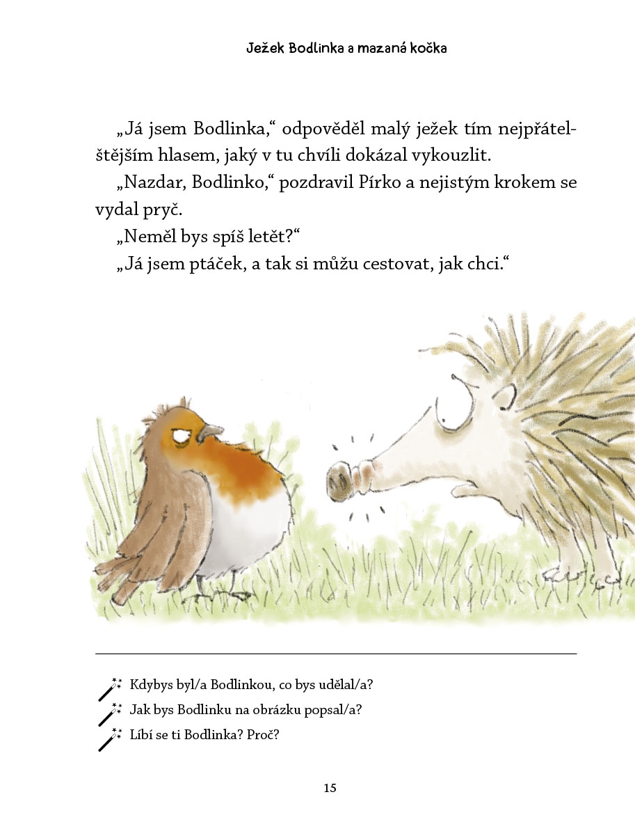 Ježek Bodlinka a mazaná kočka