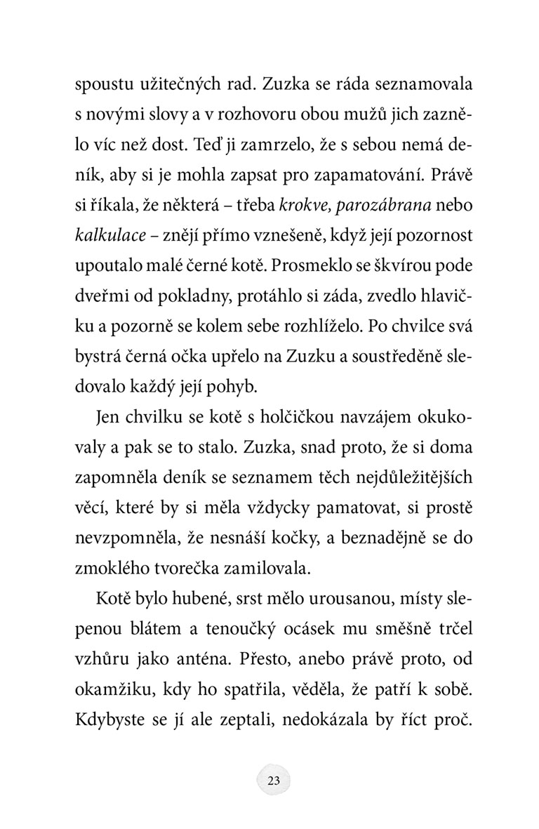 Zuzka a ztracené kotě