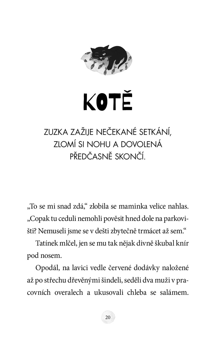Zuzka a ztracené kotě
