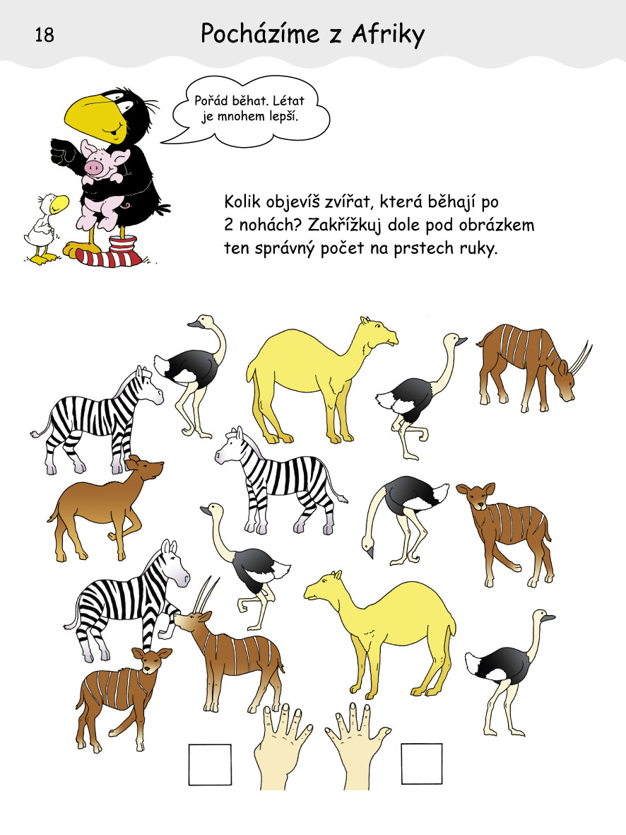 Havran Nezbeda - V zoo