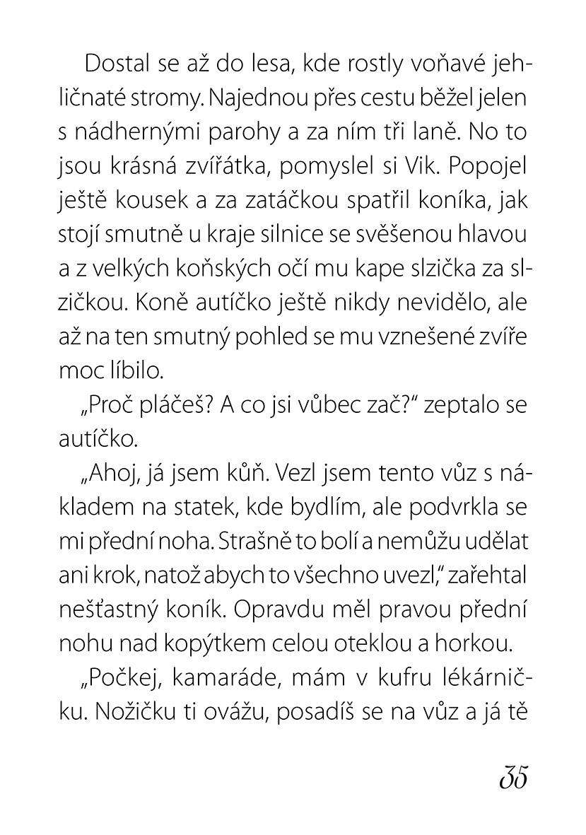 Létající autíčko Vik
