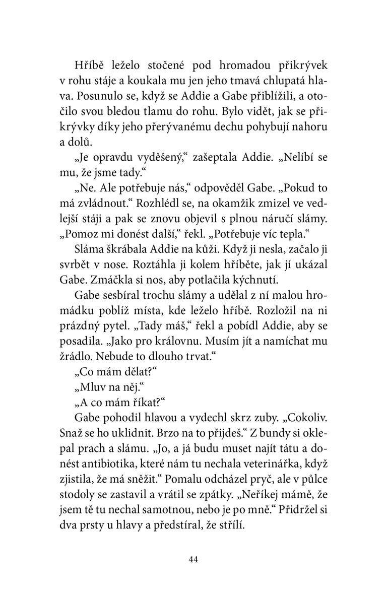 Zimní hříbě